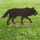 Laufender Wolf Metall Gartendeko Rostpatina 85 cm