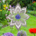 Dahlie Edelstahl Windspiel 3d Blume Kristallkugel 18 cm