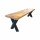 Sitzbank Holz 4 cm Platte Metallgestell X Crossover Beine 120 cm