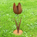Blume Metall Deko Tulpe rostig auf Bodenplatte
