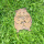 Hamster Metall Deko Garten Edelrost mit Stecker 10 cm