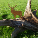 Kleiner Metall Hirsch mit Schraube zum stecken