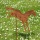Springendes Pferd mit Gartenstecker 100 cm