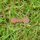 Deko Ameise Metall Insekt 8 cm