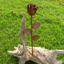 Rose Metall Blume Edelrost