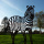 Metall Zebra Deko Figur Edelrost Garten