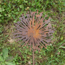 Allium Metall Gartenstecker Deko Zierlauch Rost