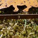Bastel Deko Wildschwein 150 mm Metall Rost
