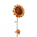 Sonnenblume Metall Gartenstecker Rost 30 cm Blüte