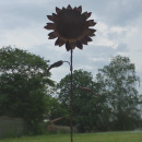 Sonnenblume Metall Gartenstecker Rost 30 cm Bl&uuml;te